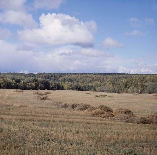 Autumn in Moscow Region
