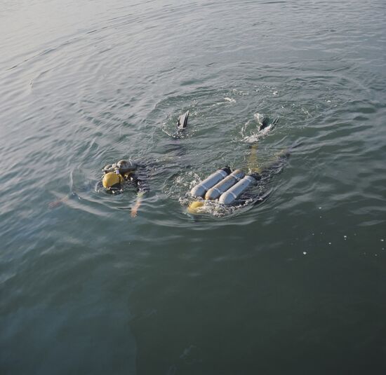 Institute of Marine Biology at the Far  Eastern Scientific Center of the USSR Academy of Sciences
