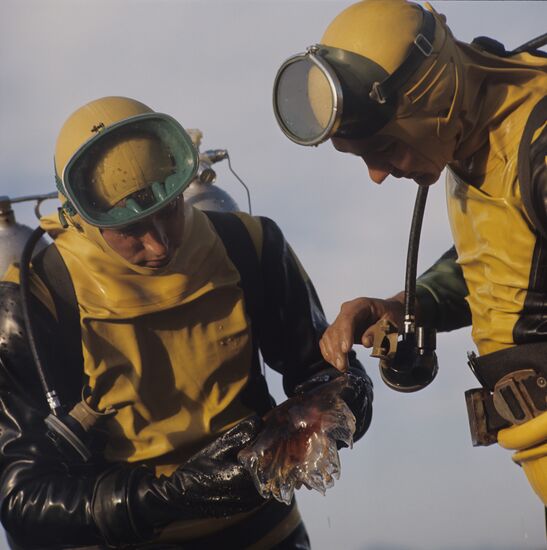 Institute of Marine Biology, Far Eastern Branch of USSR Academy of Sciences