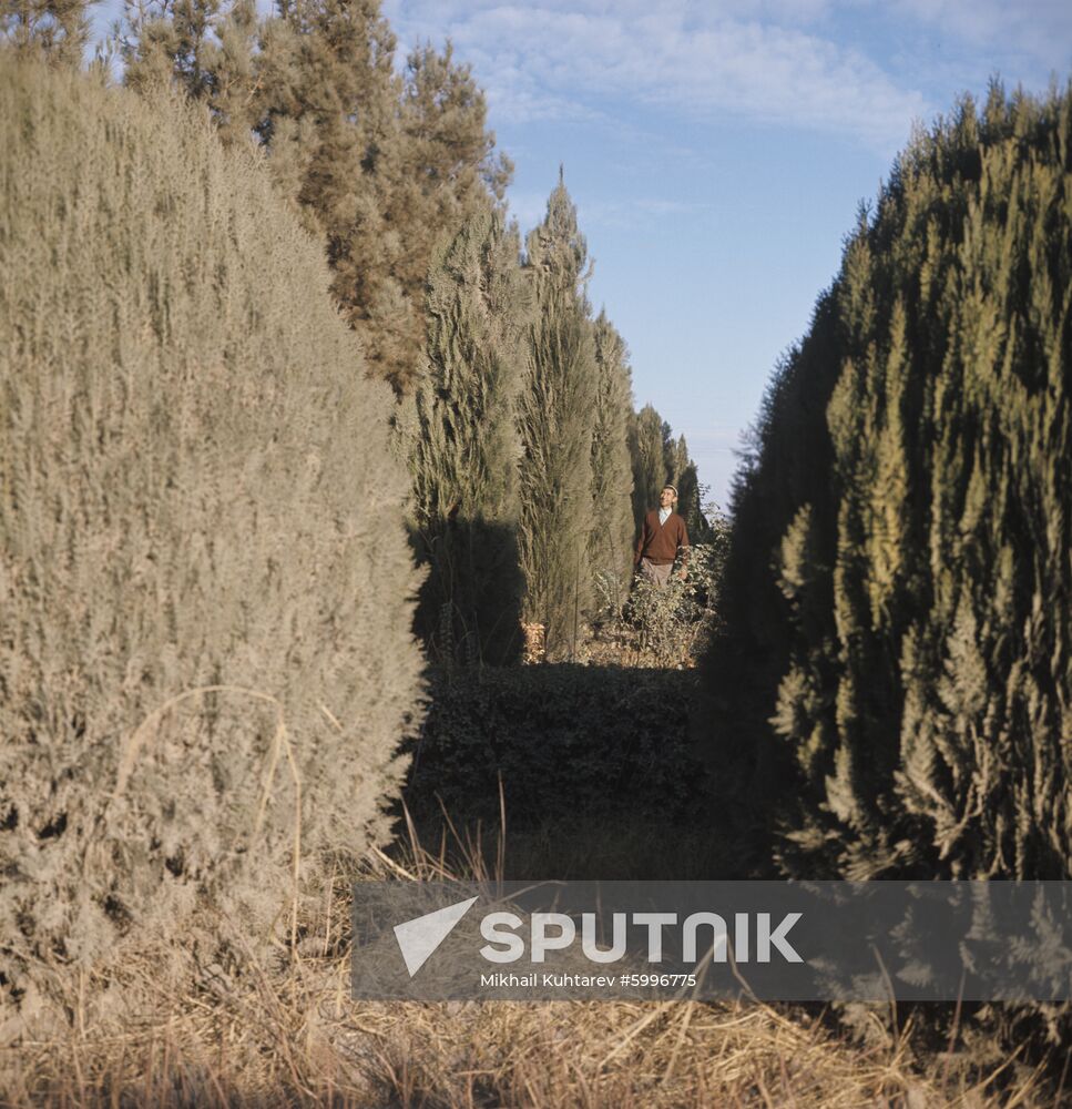 Vakhsh Zonal Subtropical Culture Experimental Station