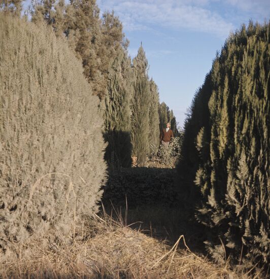 Vakhsh Zonal Subtropical Culture Experimental Station