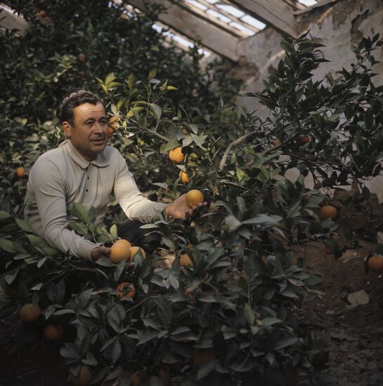 Vakhsh Zonal Subtropical Culture Experimental Station