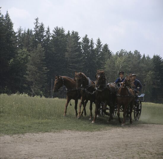 Moscow Horse Farm No.1