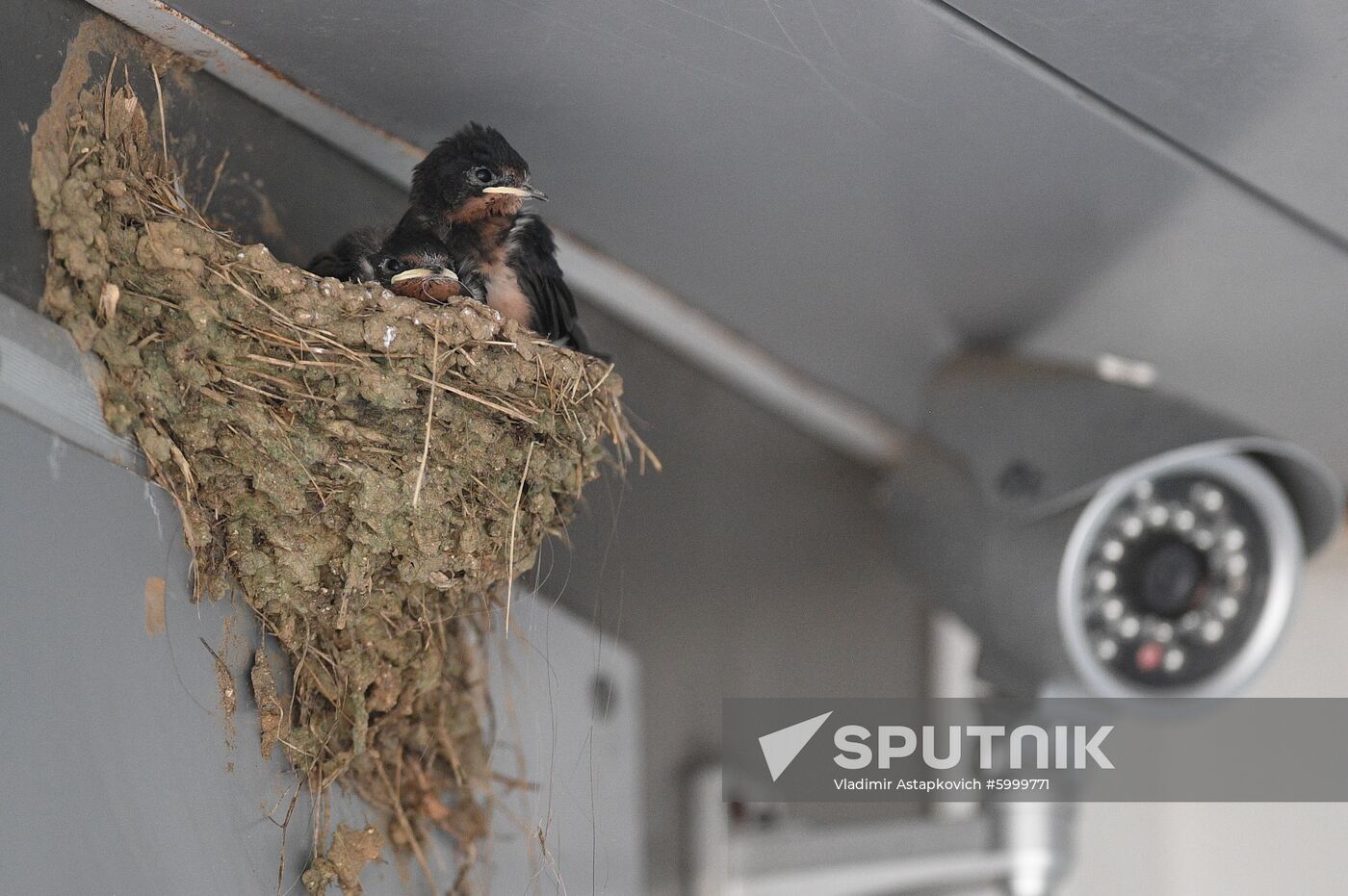 Russia Eastern Economic Forum