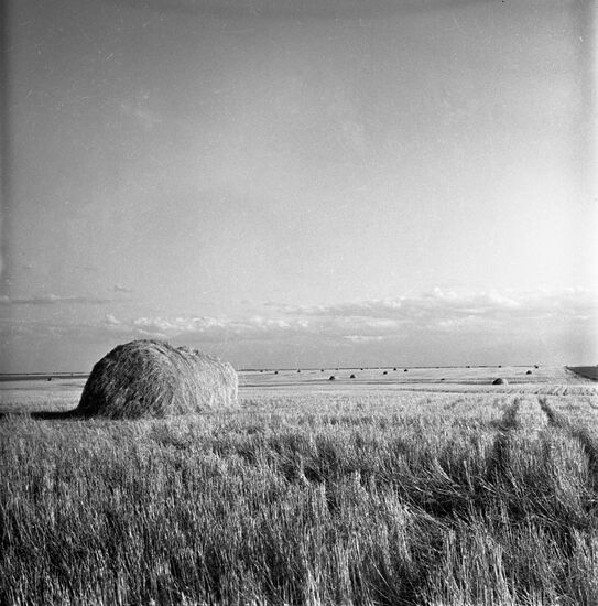 Near Konstantinovo village