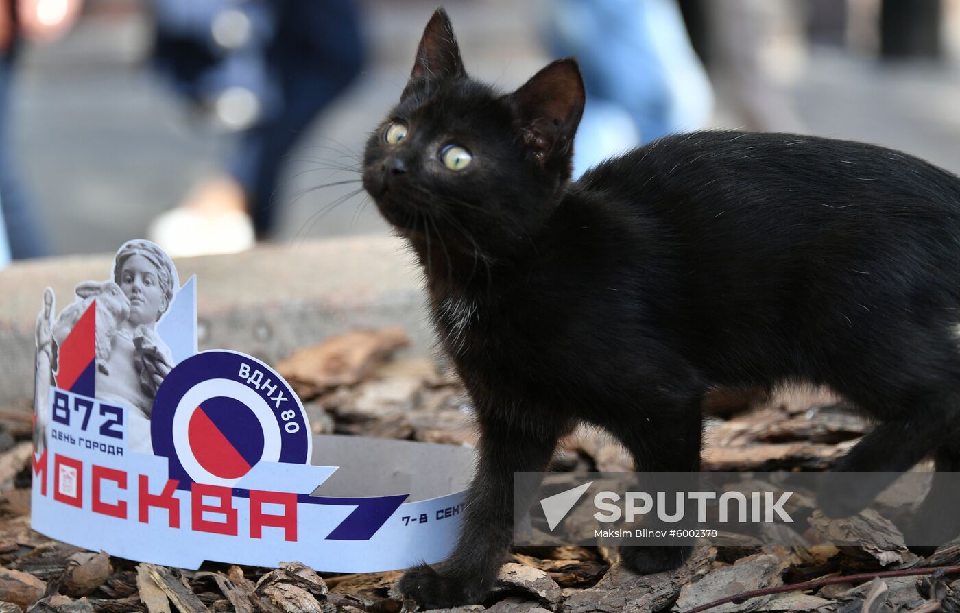 Russia Moscow City Day