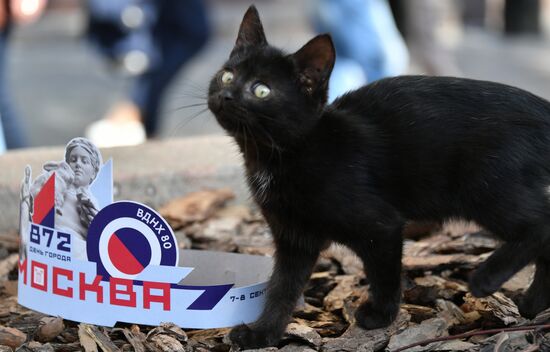 Russia Moscow City Day