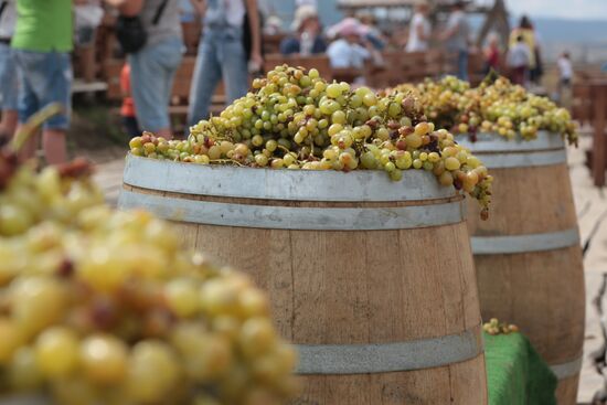 Russia Grape Festival
