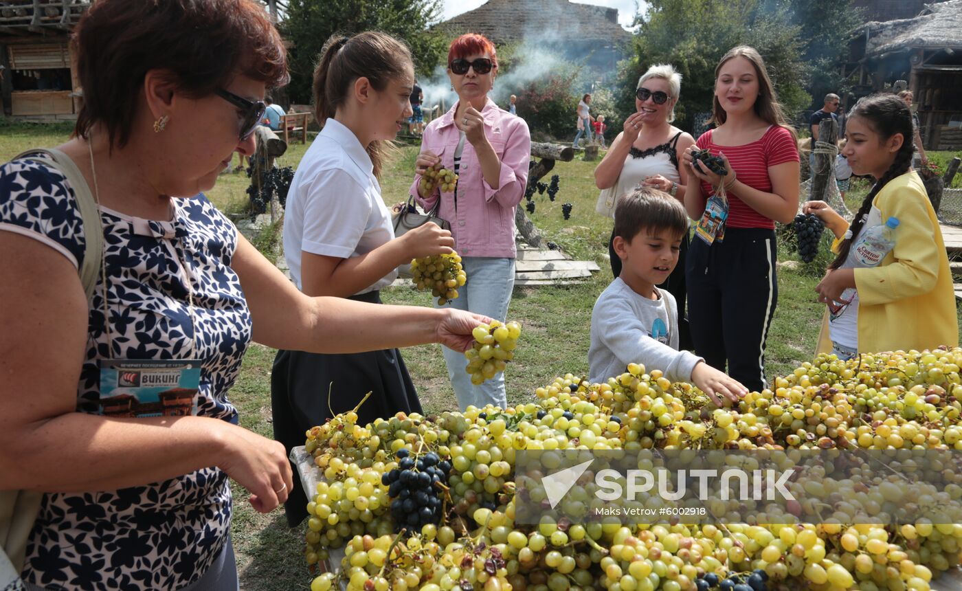 Russia Grape Festival