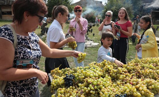 Russia Grape Festival
