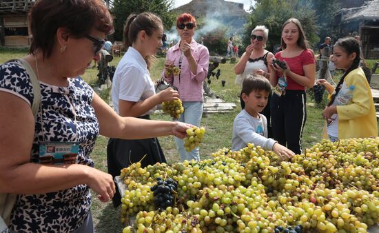 Russia Grape Festival