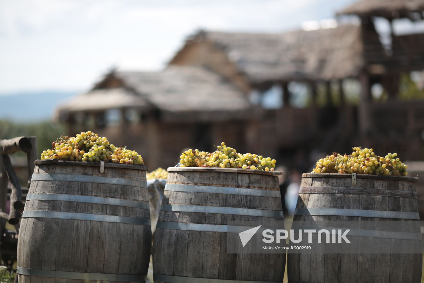 Russia Grape Festival