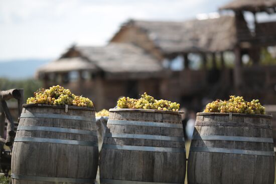 Russia Grape Festival