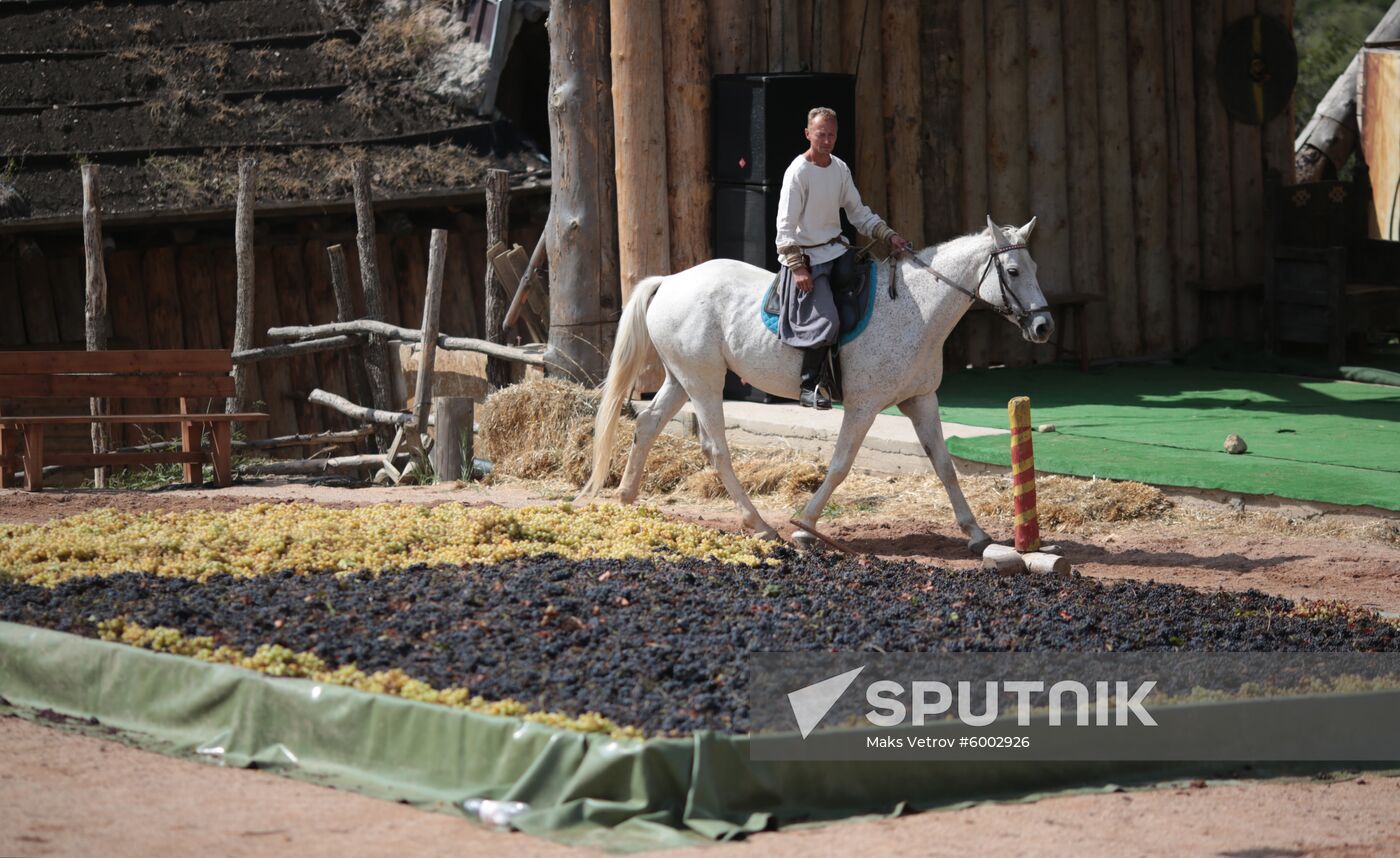Russia Grape Festival
