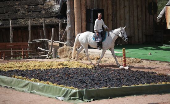 Russia Grape Festival