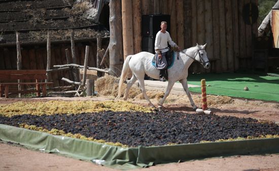 Russia Grape Festival