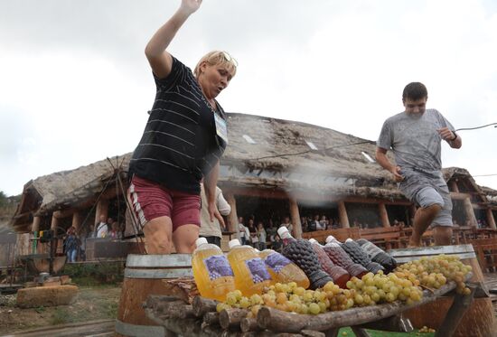 Russia Grape Festival