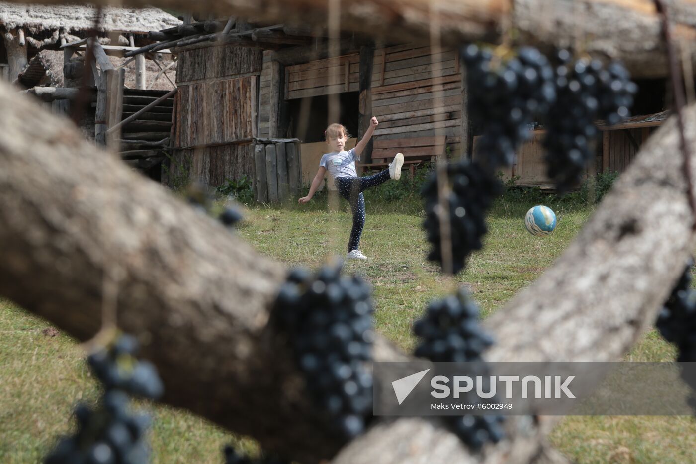 Russia Grape Festival