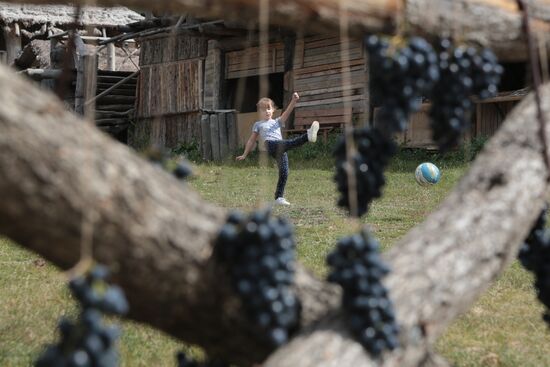 Russia Grape Festival