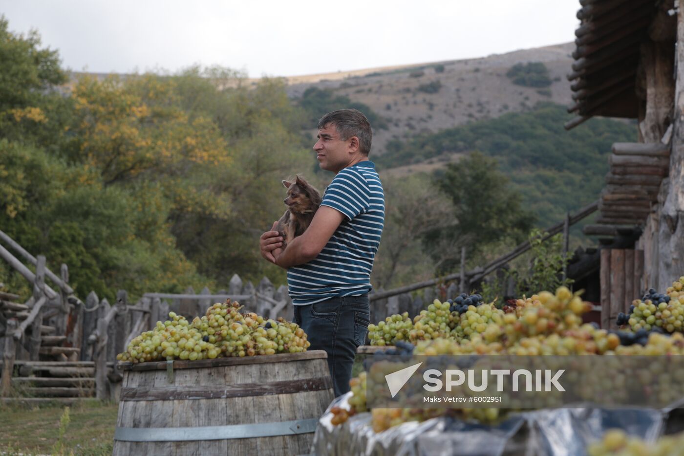 Russia Grape Festival