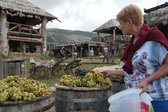 Russia Grape Festival