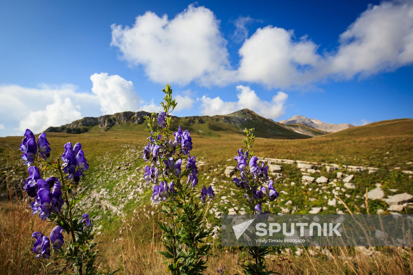 Russia Caucasus