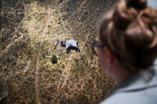 Russia Stenin Photo Contest