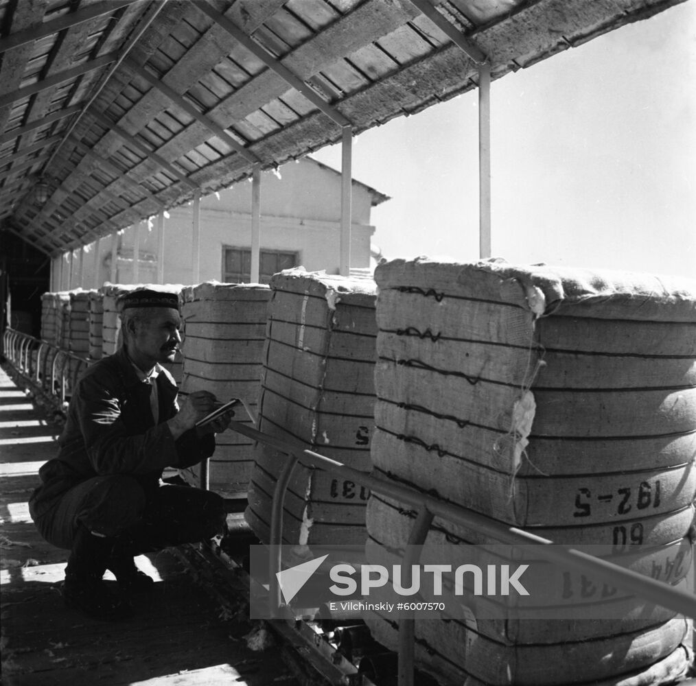 Aravan Cotton Dehulling Plant in Kyrgyzstan