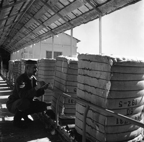 Aravan Cotton Dehulling Plant in Kyrgyzstan