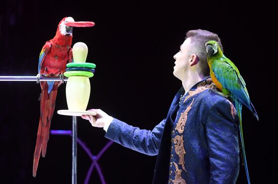 Russia World Circus Festival