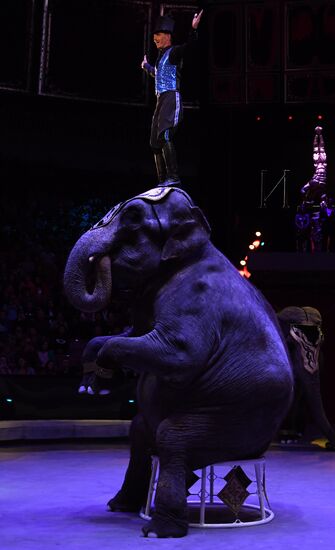 Russia World Circus Festival