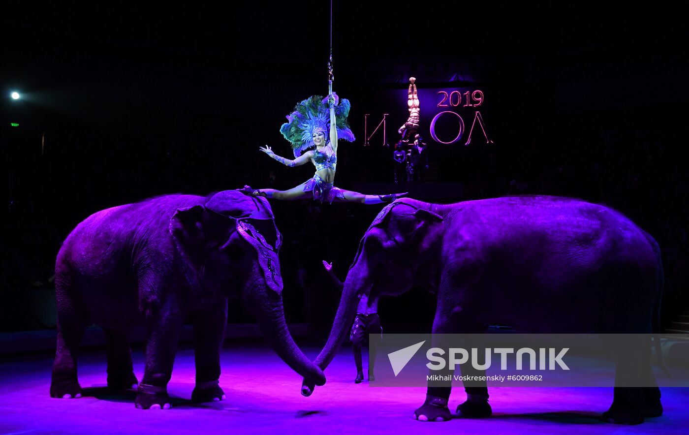 Russia World Circus Festival