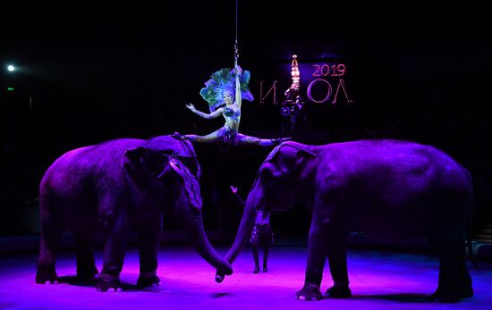 Russia World Circus Festival