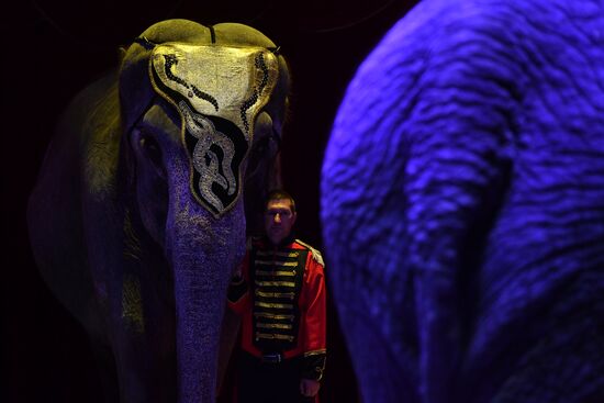 Russia World Circus Festival