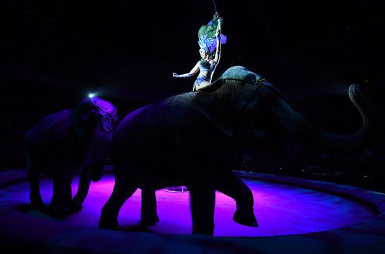 Russia World Circus Festival
