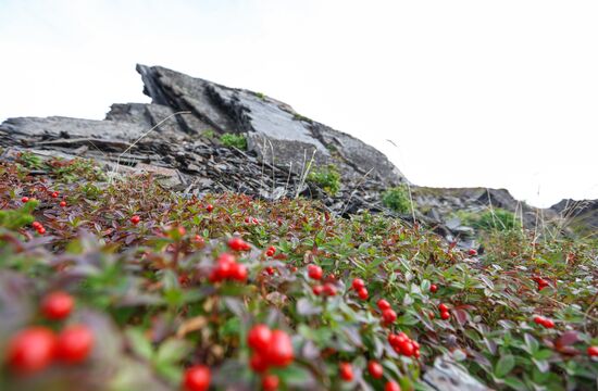 Murmansk Region, Russia