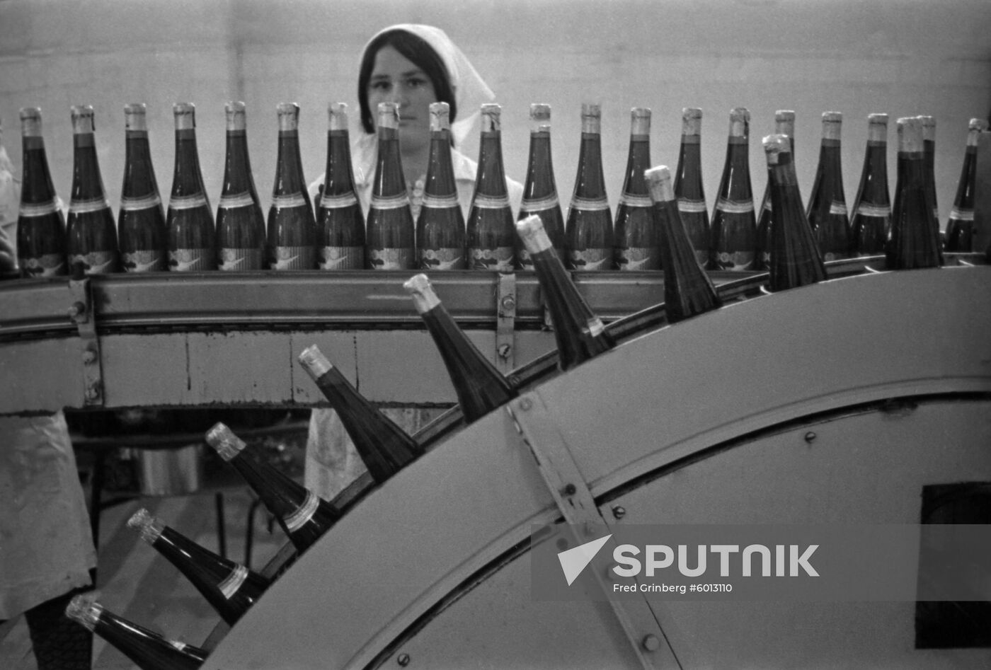 Chumai wine-making state farm / plant