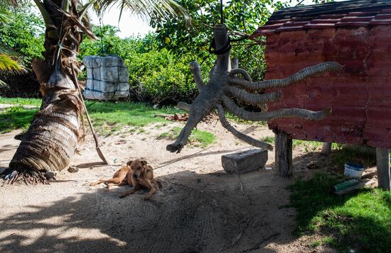 Nicaragua Tourists Paradise