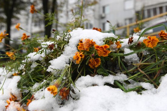 Russia Snowfall