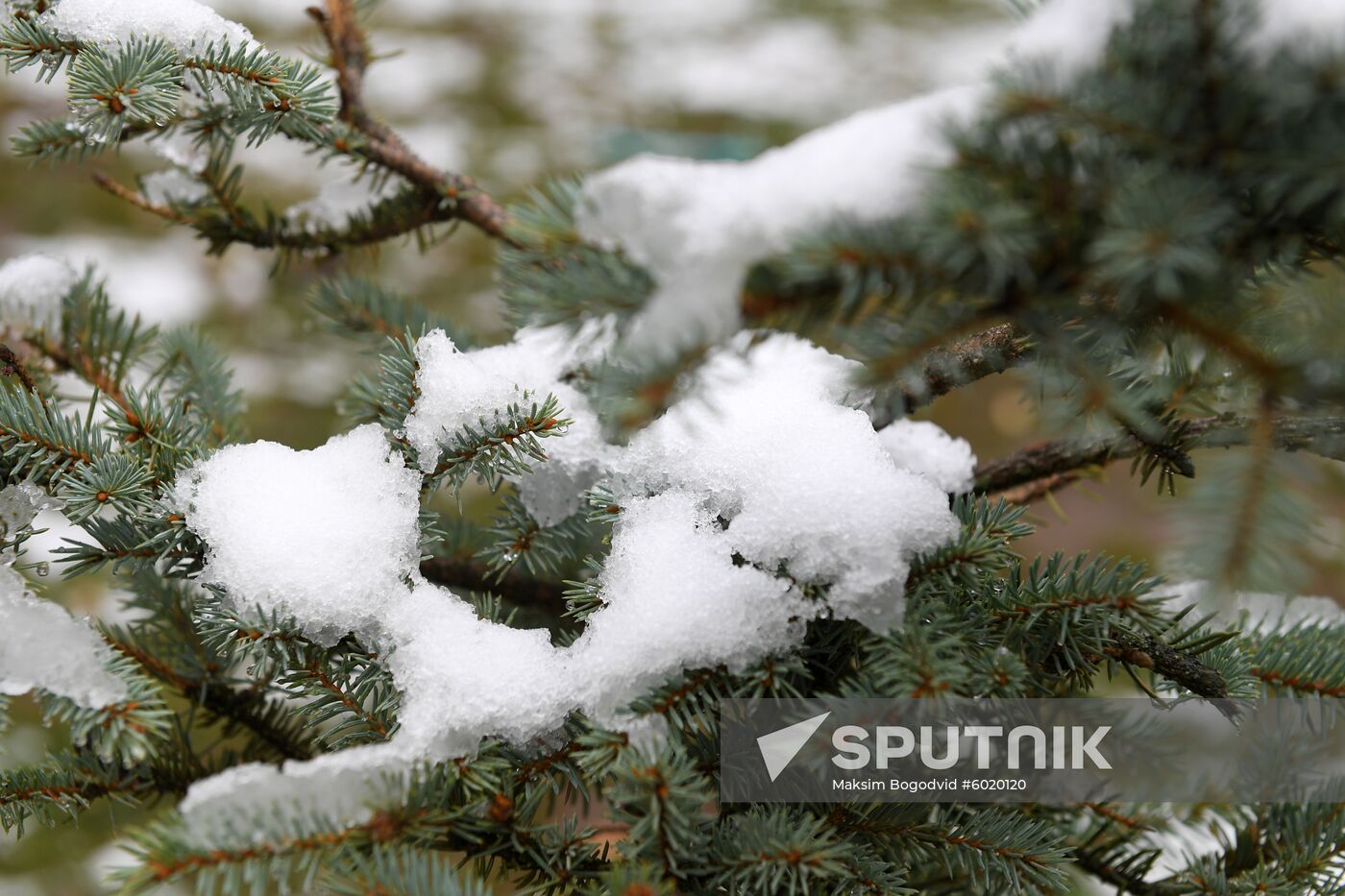 Russia Snowfall