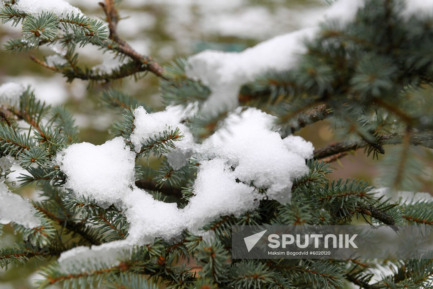 Russia Snowfall