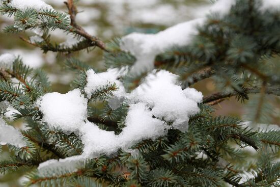 Russia Snowfall