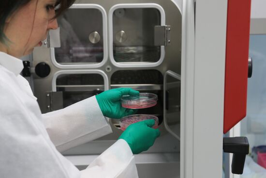 Russia Cellular Agriculture