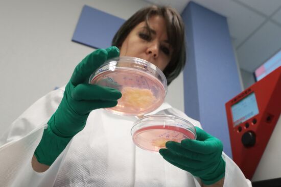 Russia Cellular Agriculture