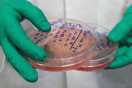 Russia Cellular Agriculture