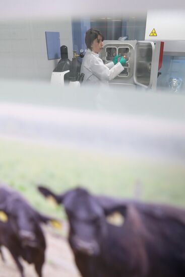 Russia Cellular Agriculture