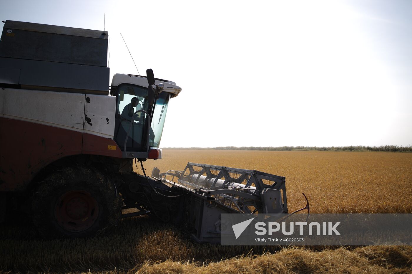 Russia Rice Harvest