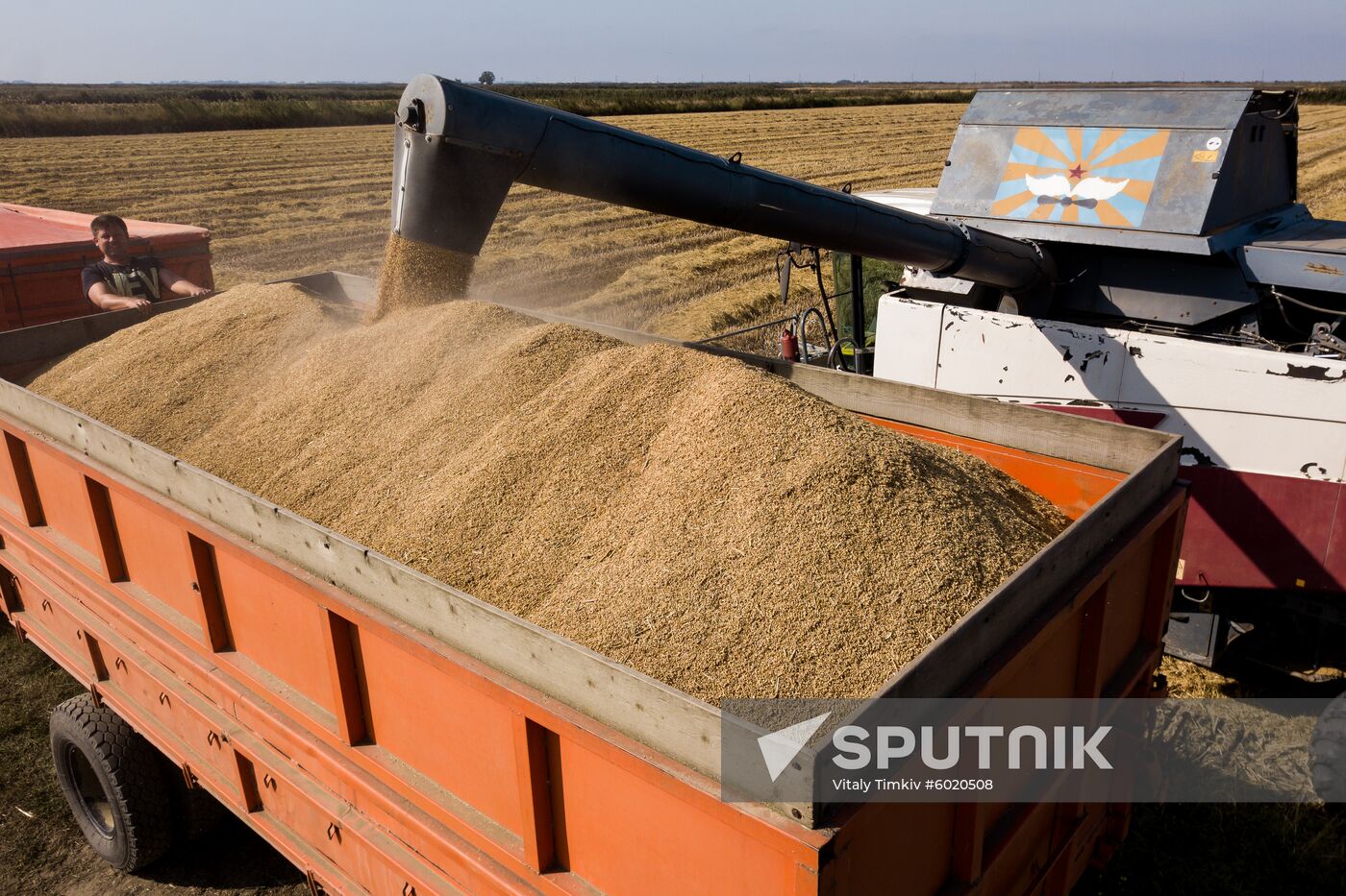 Russia Rice Harvest