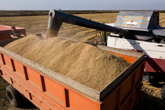Russia Rice Harvest