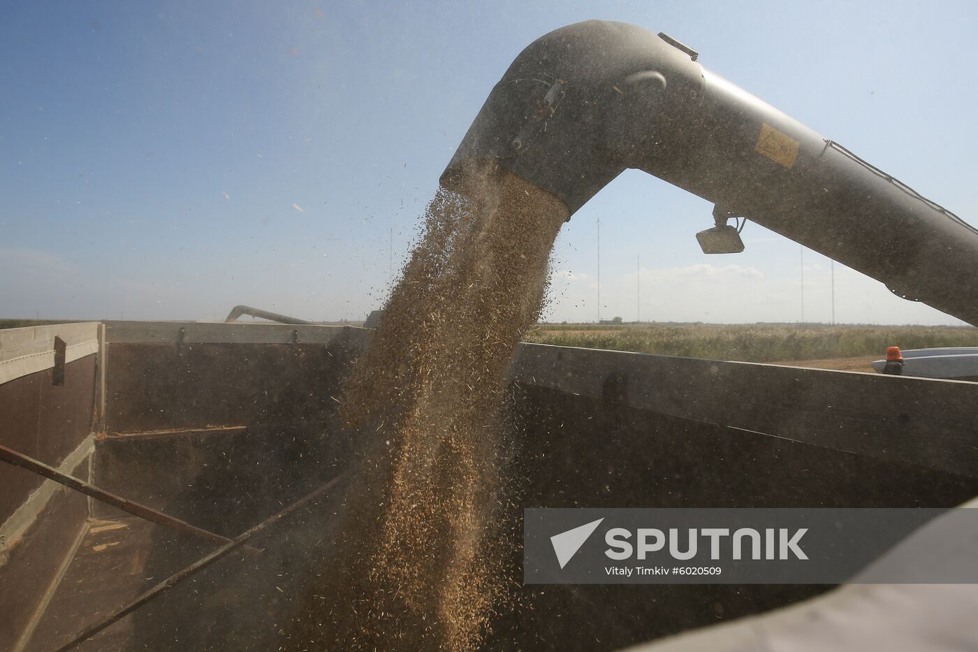 Russia Rice Harvest